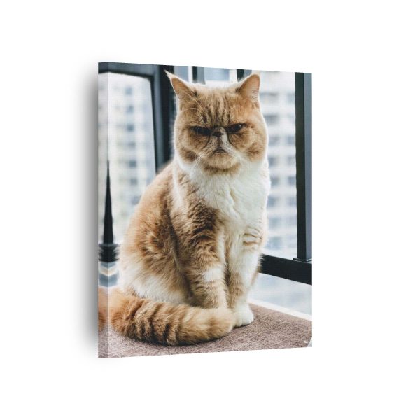 Angry Cat<br>1 részes - Image 2