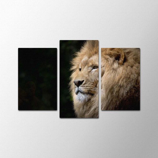 Animal King<br>3 részes - Image 2