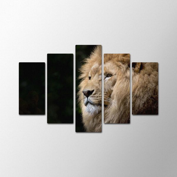 Animal King<br>5 részes - Image 2