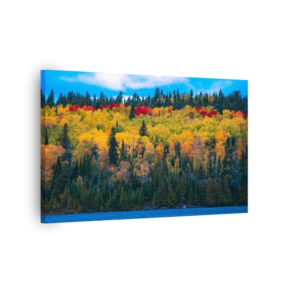 Automn Forest<br>1 részes - Image 2
