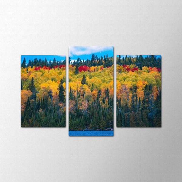 Automn Forest<br>3 részes - Image 2