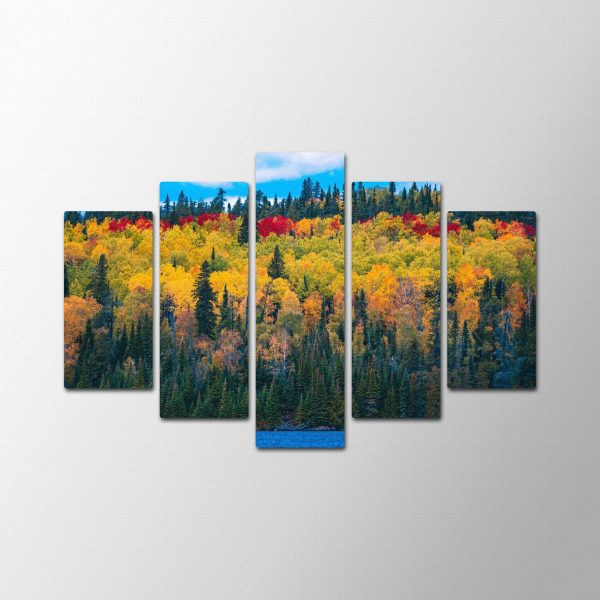 Automn Forest<br>5 részes - Image 2