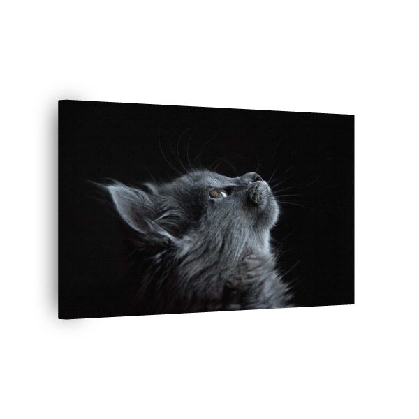 Black Cat<br>1 részes - Image 2