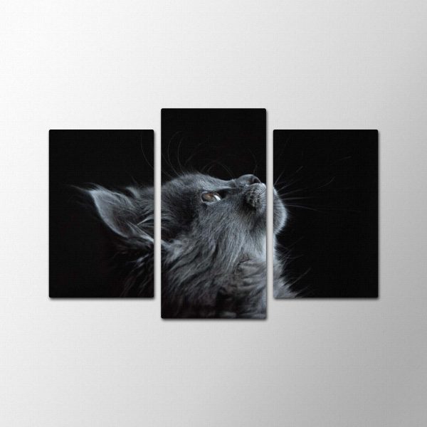 Black Cat<br>3 részes - Image 2