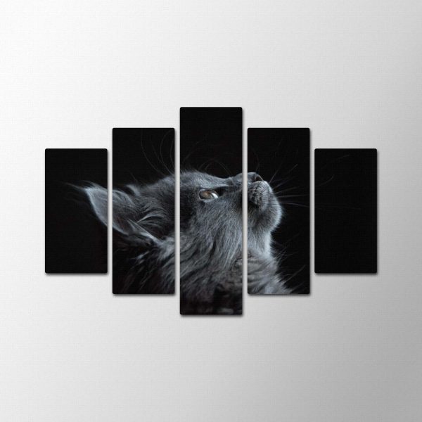 Black Cat<br>5 részes - Image 2