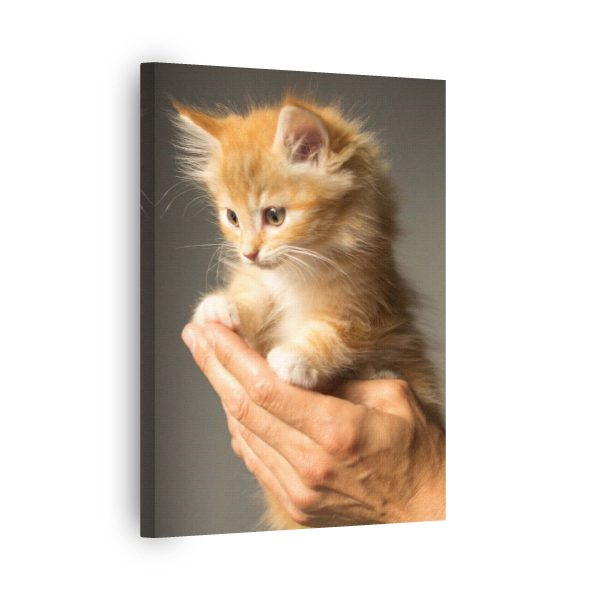 Cat Hand<br>1 részes - Image 2