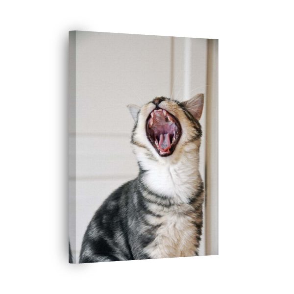 Cat Yawn<br>1 részes - Image 2
