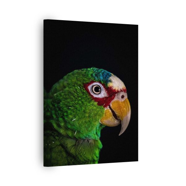 Colorful Parrot<br>1 részes - Image 2