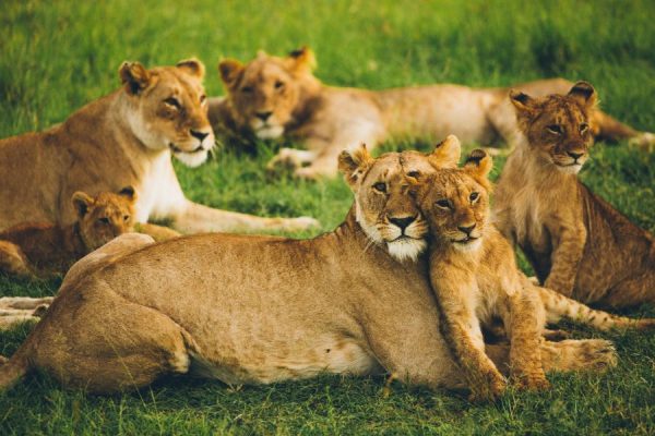 Family Weekend<br>5 részes
