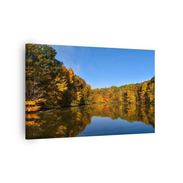 Forest Reflection<br>1 részes - Image 2