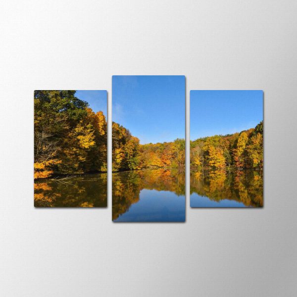 Forest Reflection<br>3 részes - Image 2