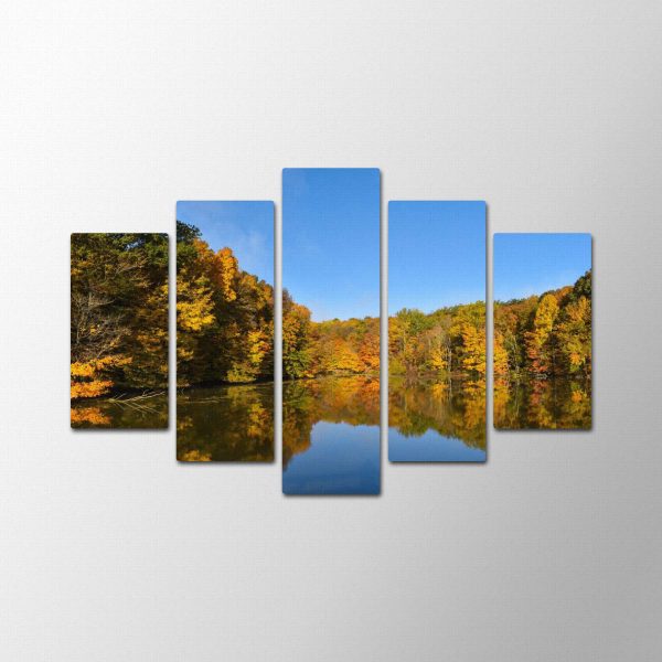 Forest Reflection<br>5 részes - Image 2