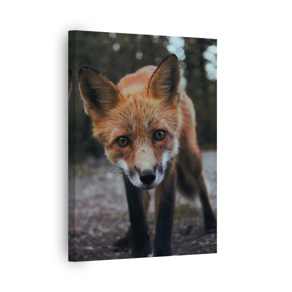 Fox Eyes<br>1 részes - Image 2