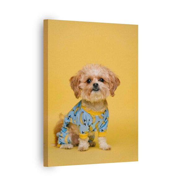 Funny Puppy<br>1 részes - Image 2