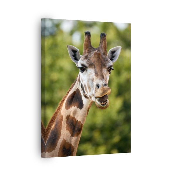 giraffe smile vaszonkep 1reszes allatok allo2 latvany 1