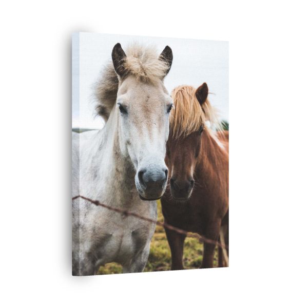 Horse Couple<br>1 részes - Image 2