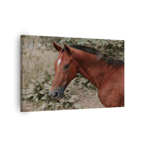 Horse Look<br>1 részes - Image 2