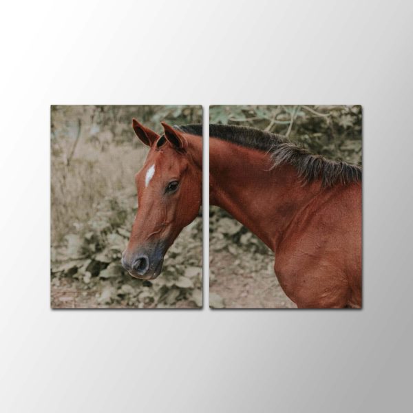 Horse Look<br>2 részes - Image 2
