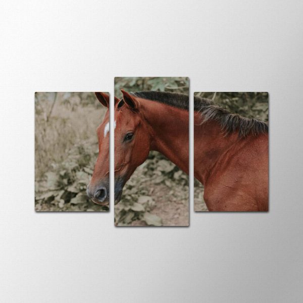 Horse Look<br>3 részes - Image 2