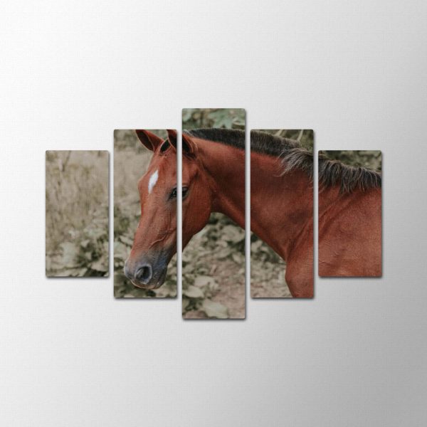 Horse Look<br>5 részes - Image 2