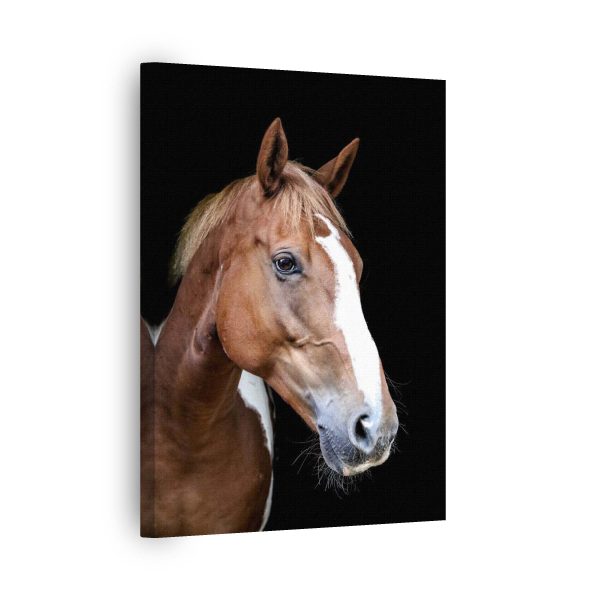 Horse Pose<br>1 részes - Image 2