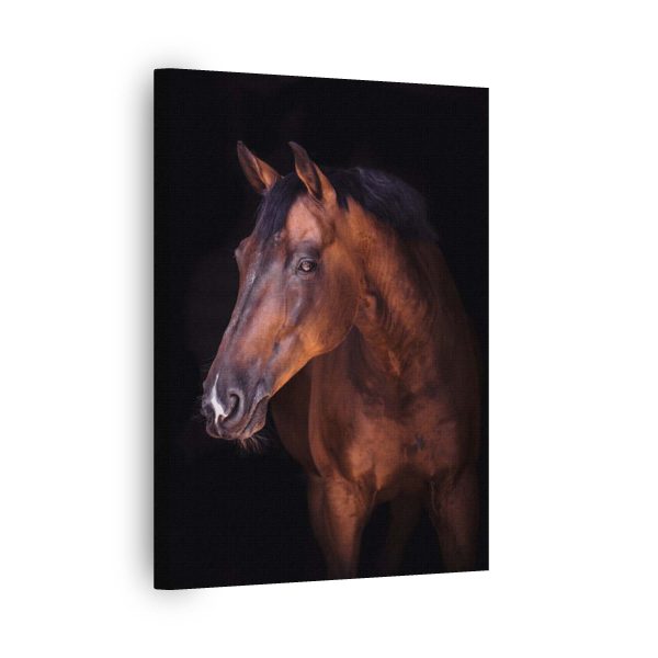Horse Power<br>1 részes - Image 2