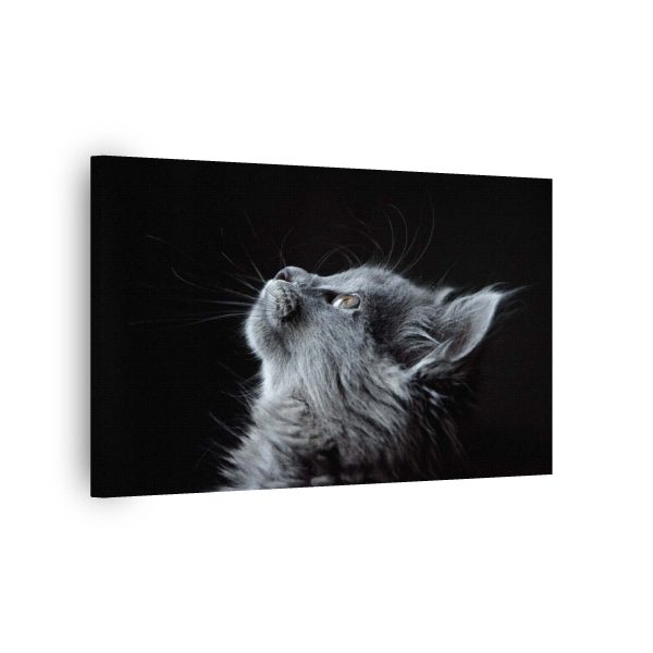Kit Cat<br>1 részes - Image 2