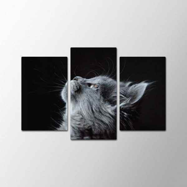 Kit Cat<br>3 részes - Image 2