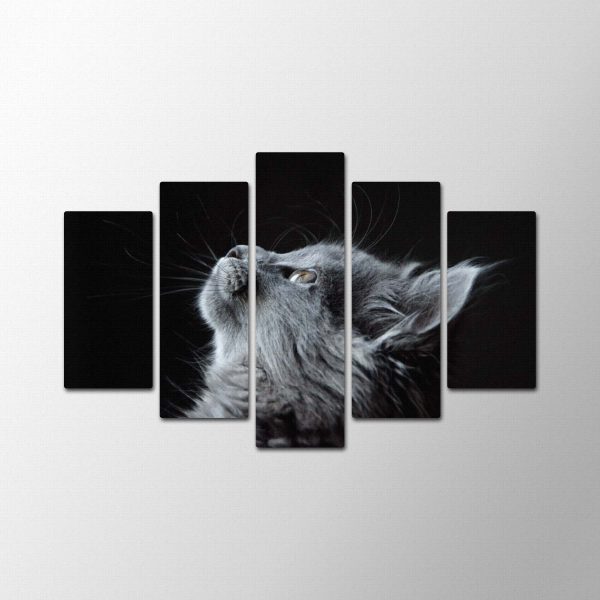Kit Cat<br>5 részes - Image 2