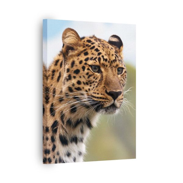 Leopard Eyes<br>1 részes - Image 2