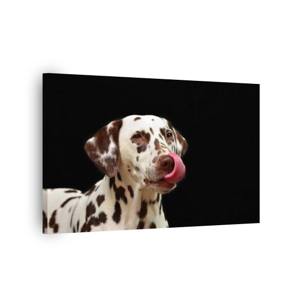 Licky<br>1 részes - Image 2