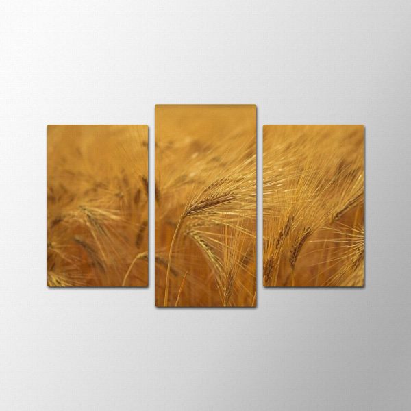Light Wheat<br>3 részes - Image 2