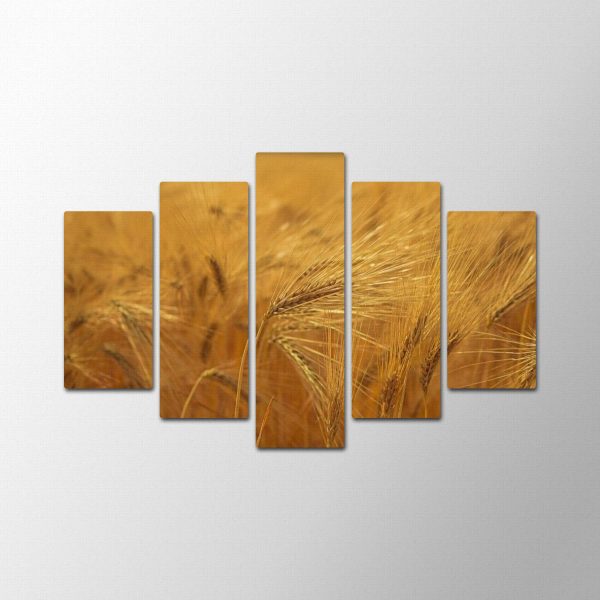 Light Wheat<br>5 részes - Image 2