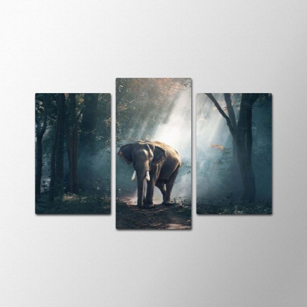 Mystery Forest<br>3 részes - Image 2
