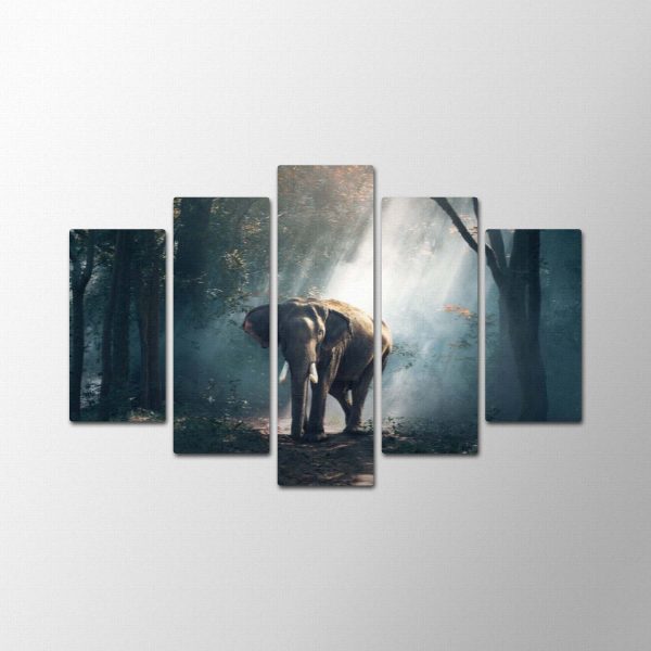 Mystery Forest<br>5 részes - Image 2