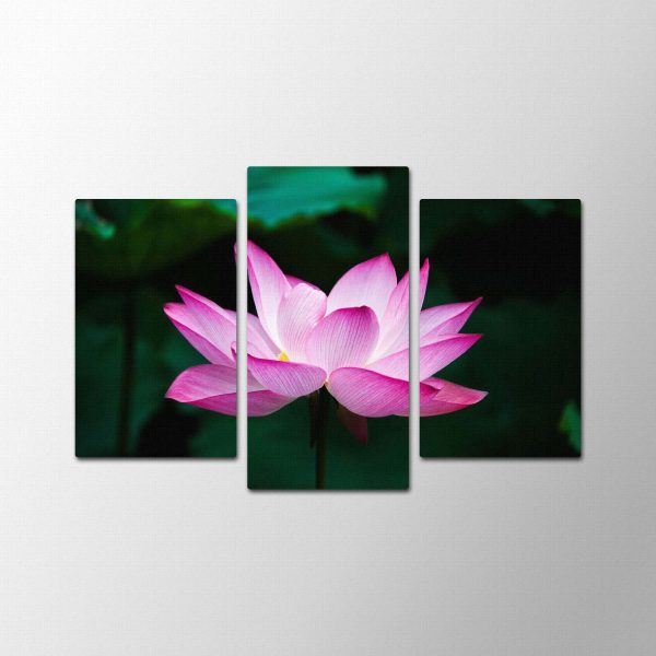 Open Flower<br>3 részes - Image 2