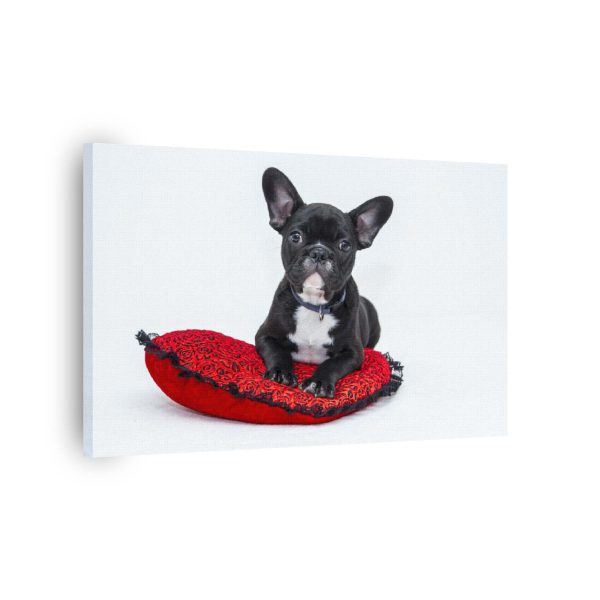 Pillow Bull<br>1 részes - Image 2