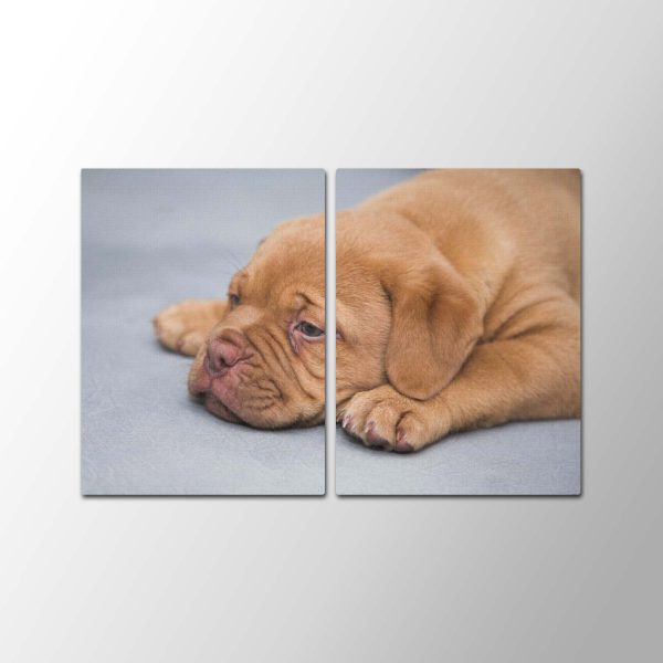 Puppy Time<br>2 részes - Image 2