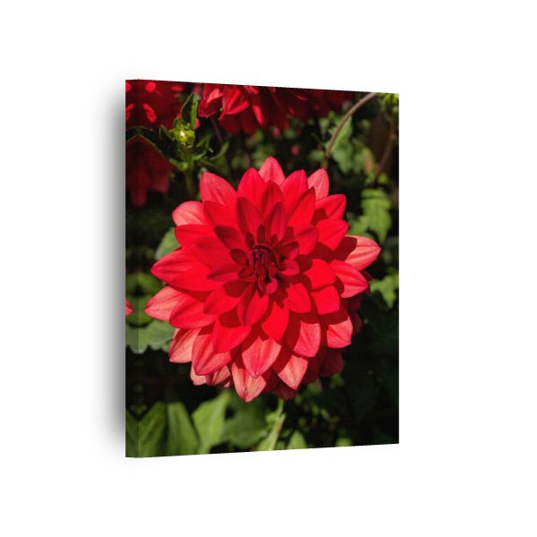 Red Flower<br>1 részes - Image 2