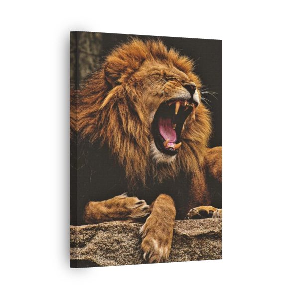 Roar Smile<br>1 részes - Image 2