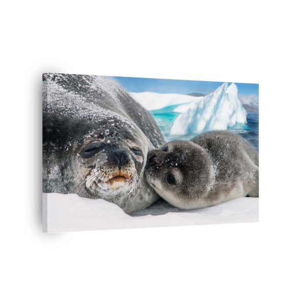 Seal Family<br>1 részes - Image 2