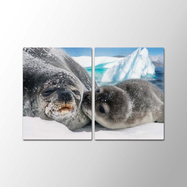 Seal Family<br>2 részes - Image 2
