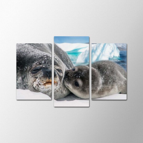 Seal Family<br>3 részes - Image 2