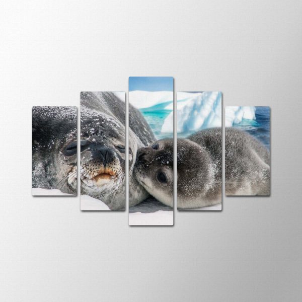 Seal Family<br>5 részes - Image 2
