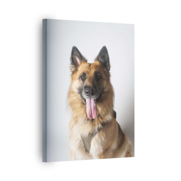 Shepherd Tongue<br>1 részes - Image 2
